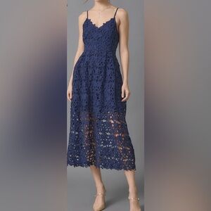Express Navy Lace Midi Dress Wedding Guest Dress